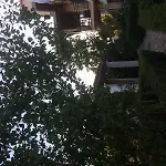 Gasthuis Nefeli 4*