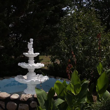 Guest house Nefeli 2*