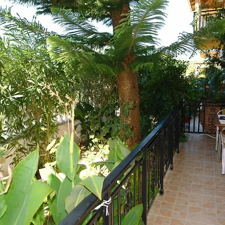 Nefeli Guest house 2*