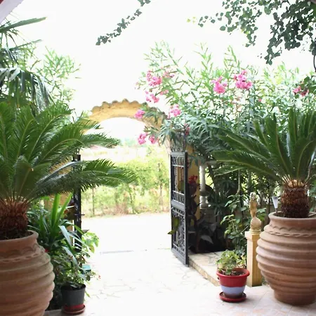 Nefeli بيت ضيافة 4*