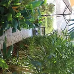 Πανσιόν Nefeli